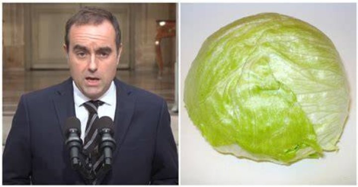 26 favourite funny reactions to the fuss about 'Nepo Babies' The Poke