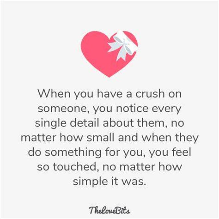 50 Crush Quotes That Might Reflect Your Secret Feelings TheLoveBits