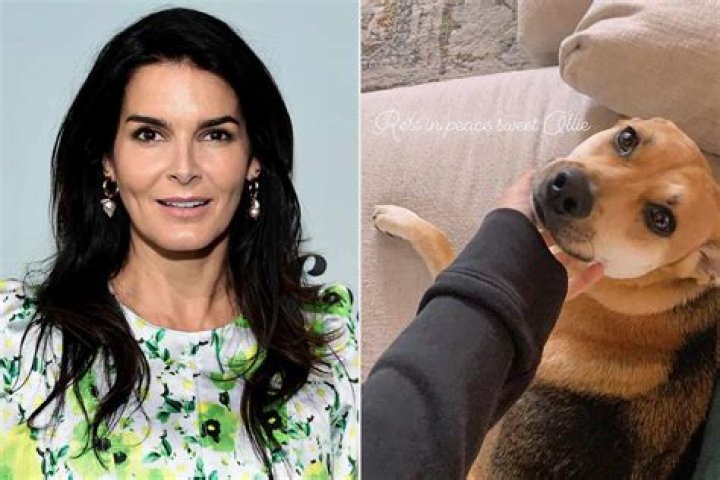 Angie Harmon alleges her dog Oliver was shot and killed by an Instacart