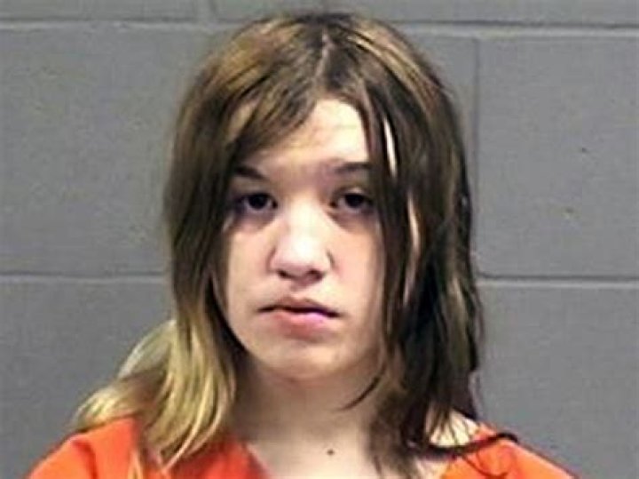Ashlee Martinson Wisconsin teen horror blogger charged with murder of