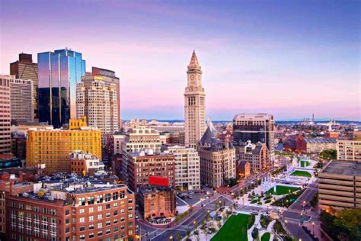 Avi Natan Boston, Massachusetts, United States Professional Profile