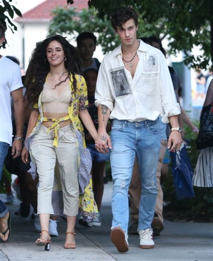 Camila Cabello Walks Hand in Hand with Boyfriend Austin Kevitch in LA