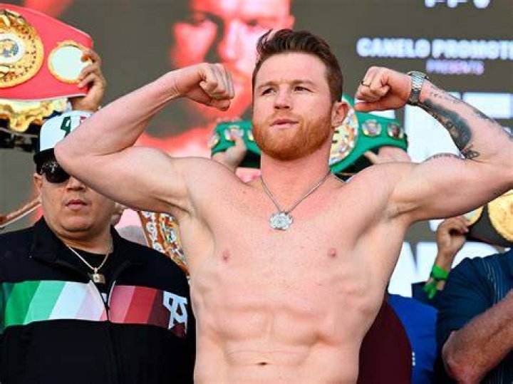 Canelo &Aacute;lvarez Cu&aacute;l es el nivel de estudios del boxeador mexicano