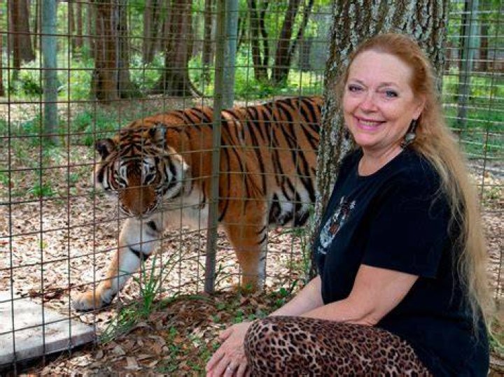 Carole Baskin Biography, Facts, Net Worth, Married, Husband, Age, Wiki