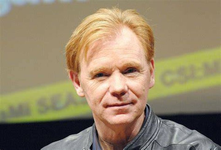 David Caruso Net Worth 2019 Tv Star DemotiX