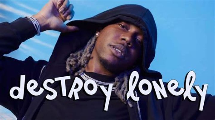 Destroy Lonely Destroy Lonely No Stylist Leg 2 Tour Cat Hoodie Grailed