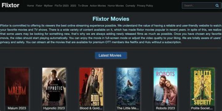 Flixtor Let's Watch Your Favorite Content on HD for Free