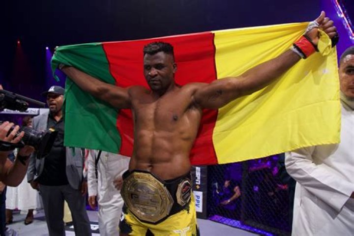 Francis Ngannou Releases Statement On UFC 226 Loss 'I Have Carried My