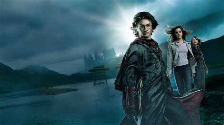 From Goblet of Fire Harry James Potter Photo (22934996) Fanpop