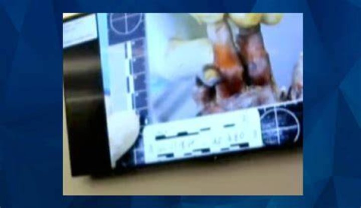 Gannon Stauch Autopsy Results Revealed, Accused Killer Stepmom Busted