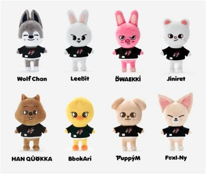 guide to skzoo r/straykids