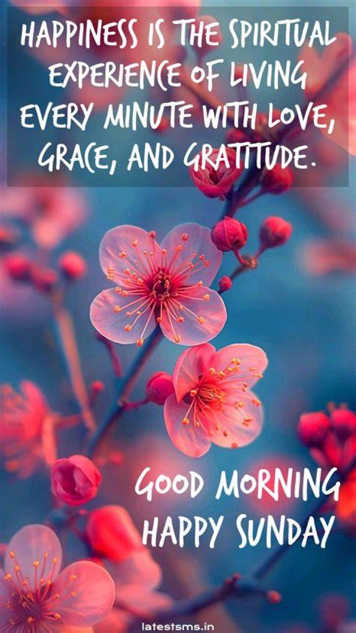 Happy Sunday Dear All 🌷 วันอาทิตย์
