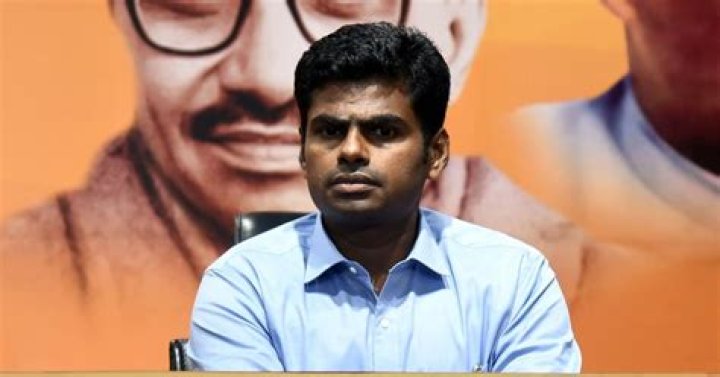 How Did TN BJP Chief Own A Rafale Watch? India News