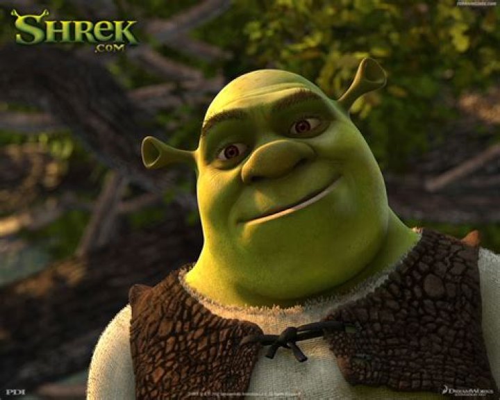 Koleksi Kartun Terbaik Shrek 1 King