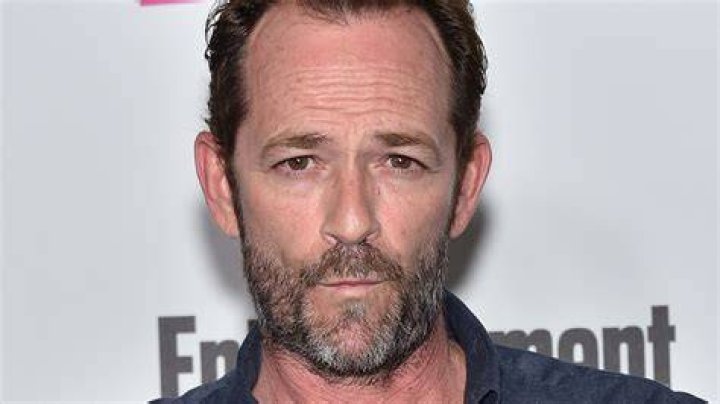 Luke Perry Cause of Death How Did Luke Perry Die? Observer