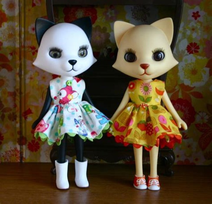 Nikki Cats Photo (730301) Fanpop