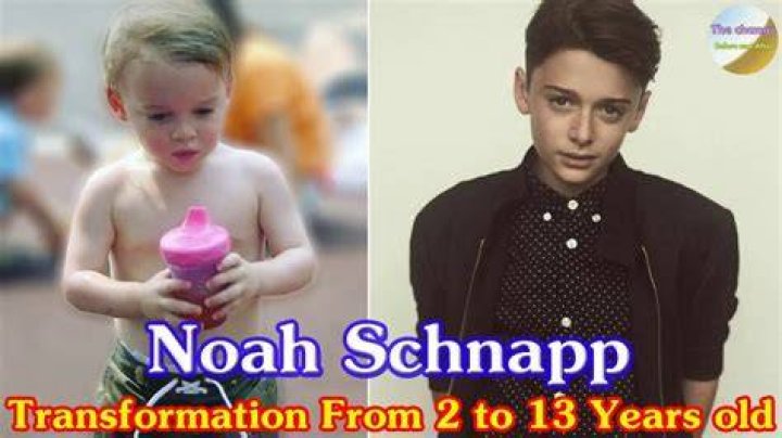 Noah Schnapp How old is he? Check out his Instagram, Net Worth