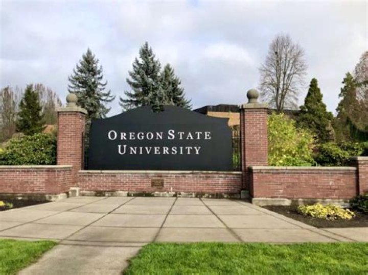 Oregon State University on Twitter "We are thrilled to announce the