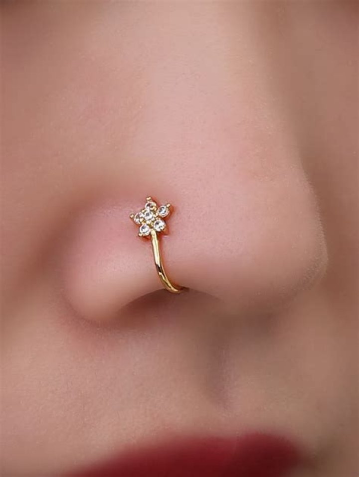 Paco, Nose Ring, Fashion, Moda, Fashion Styles, Fashion Illustrations
