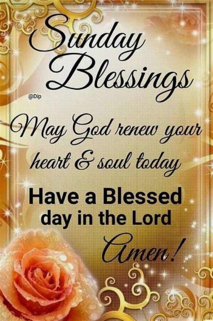 Pin on Sunday Blessings
