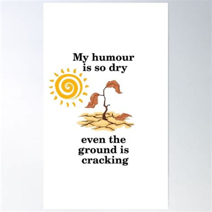 Quotes about Dry humour (24 quotes)