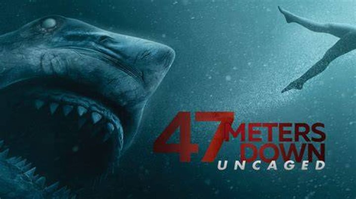 Review 47 Meters Down Uncaged — The Daily JAWS
