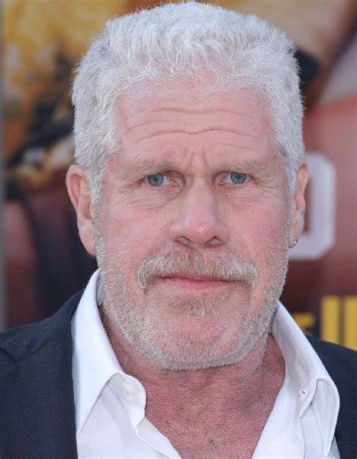 Ron Perlman Pictures Rotten Tomatoes
