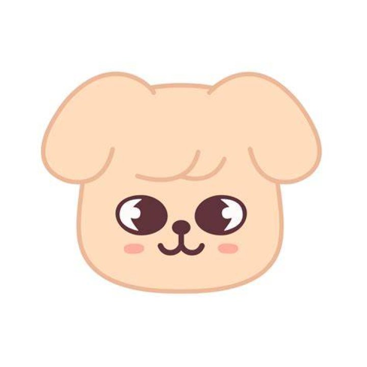 Skzoo Stray Kids Seungmin in 2024