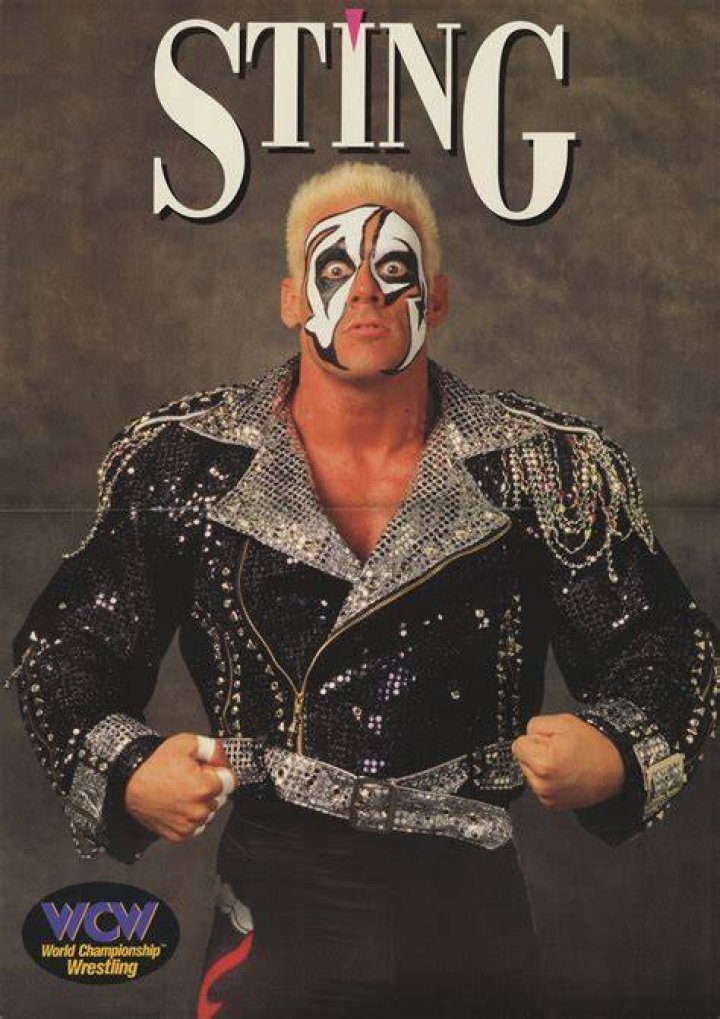 Sting (1995) Sting wcw, Wrestler, Wrestling superstars