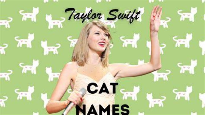 Taylor Swift cats’ names How many cats does T Swift have? What breed