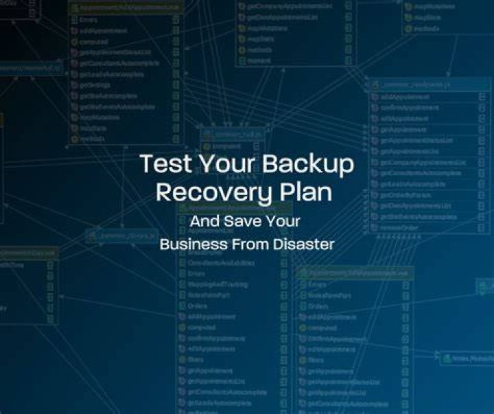 The BackUp Plan Picture 1