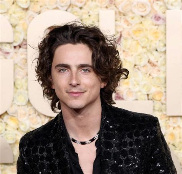 Timoth&eacute;e Chalamet Will Do His Own Singing In Bob Dylan Biopic 'A