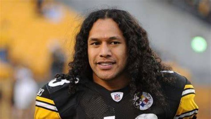 Troy Polamalu Net Worth, Bio 20172016, Wiki REVISED! Richest