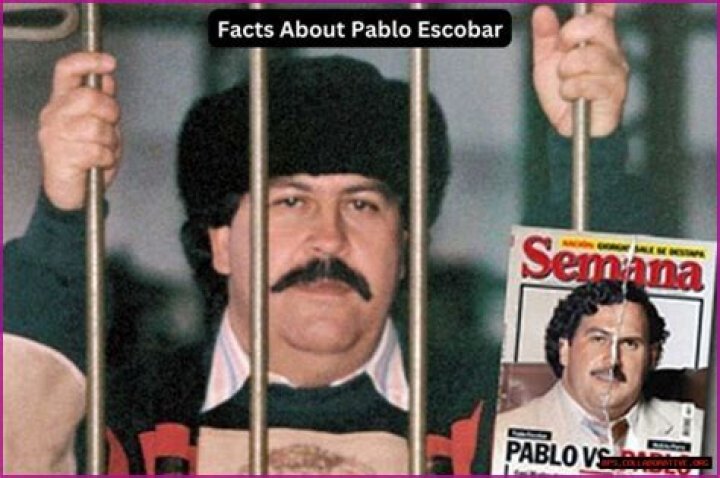 Unfathomable Wealth: Pablo Escobar's Monthly Earnings