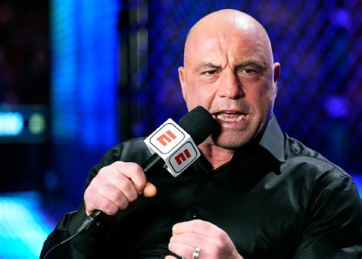 Was Joe Rogan's wife Jessica Ditzel in a relationship with HTown