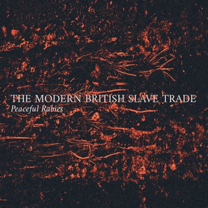 Watch The Modern British Slave Trade Prime Video