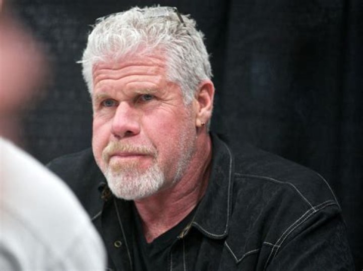 Web to Watch Ron Perlman stars in Amazon Studios pilot