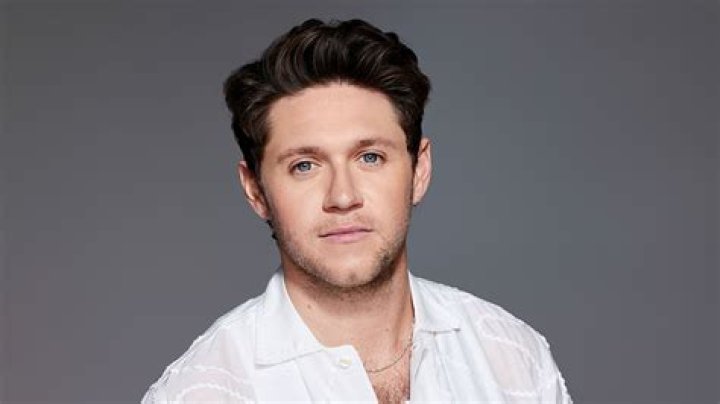 Who Is Niall Horan's Girlfriend? All About Amelia Woolley