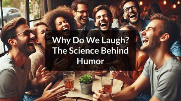 Why do we laugh at fat people on screen? SBS What's On